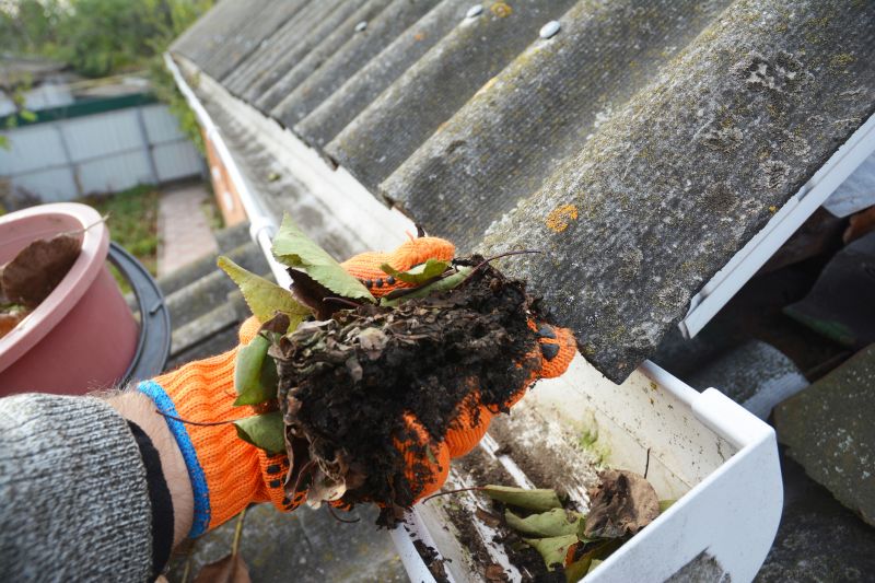 Garage Gutter Cleaning in Fredericksburg, VA