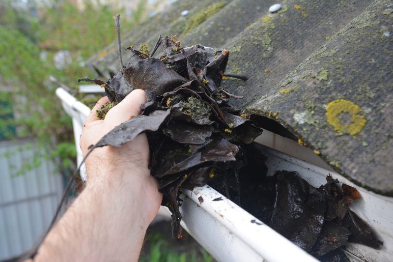 Gutter Leaf Clearing in Bergen County, NJ