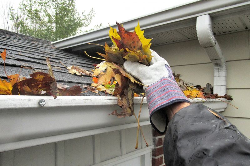 Gutter Leaves Removal in Annapolis, MD
