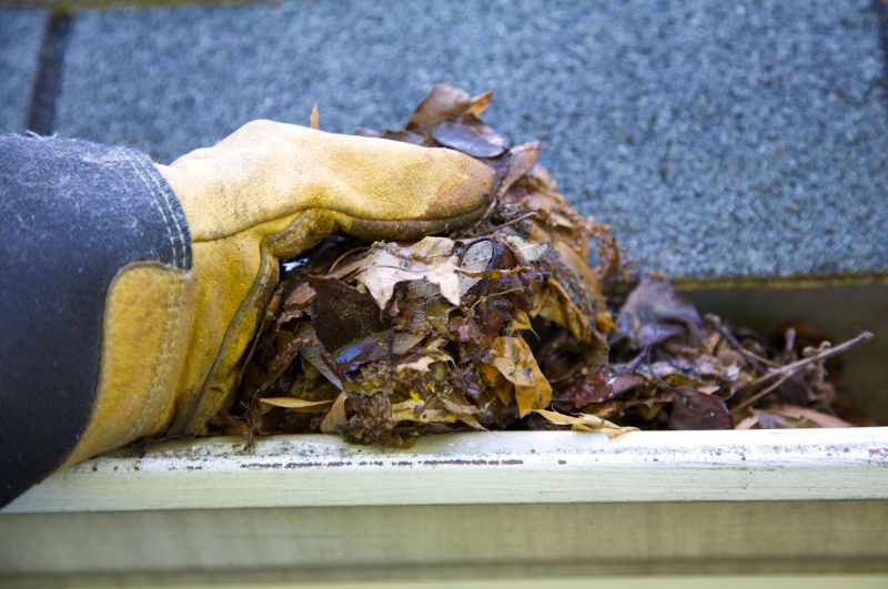 Gutter Leaves Removal in Frederick, MD