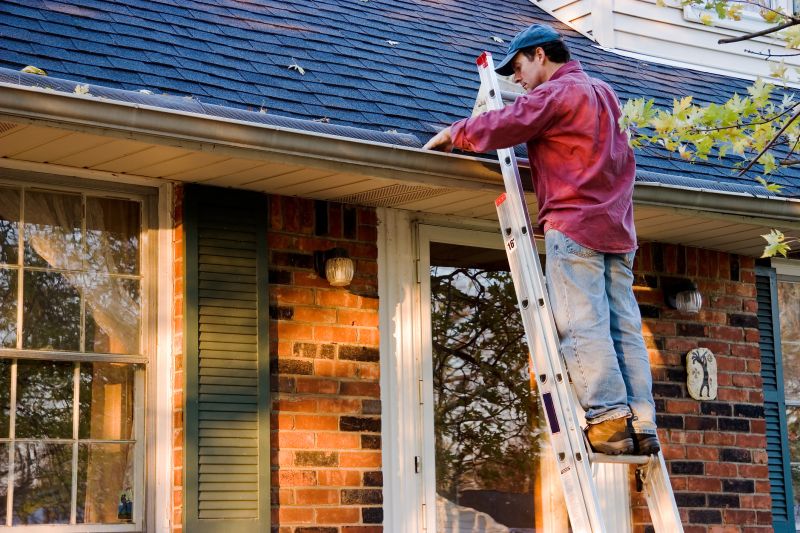 Gutter Maintenance in Monmouth County, NJ
