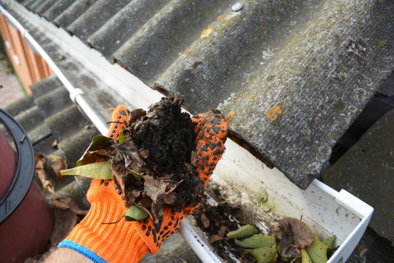 Gutter Pine Needle Removal in Monmouth County, NJ