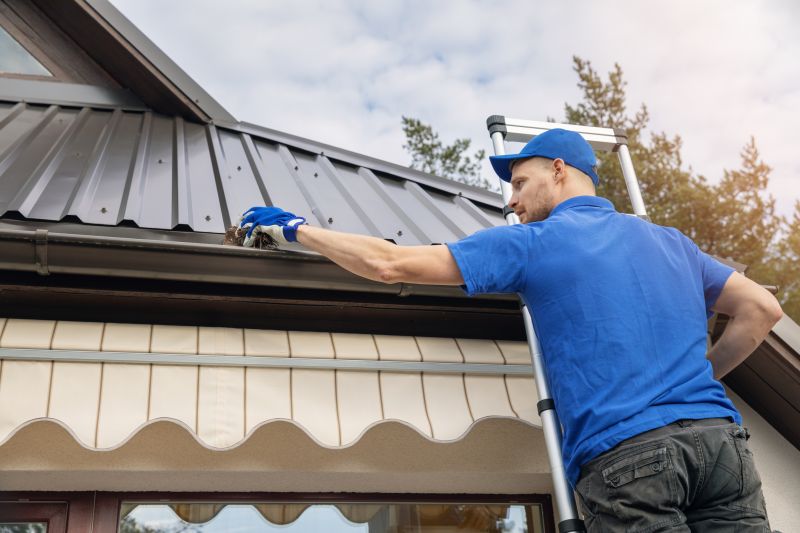 Roof Gutter Cleaning in Bergen County, NJ