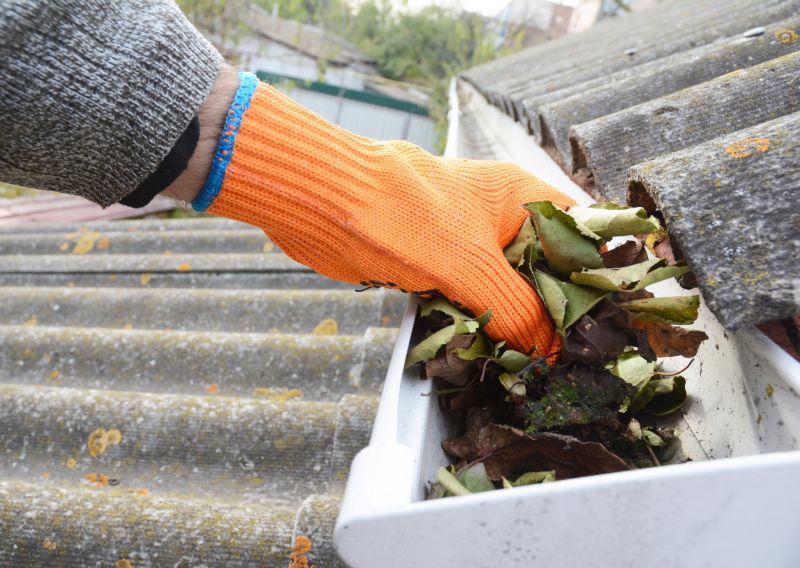 Roof Gutter Cleaning in Annapolis, MD